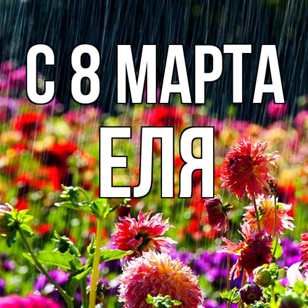Открытка на каждый день с именем, Еля C 8 МАРТА цветы под дождиком к международному женскому дню Прикольная открытка с пожеланием онлайн скачать бесплатно 