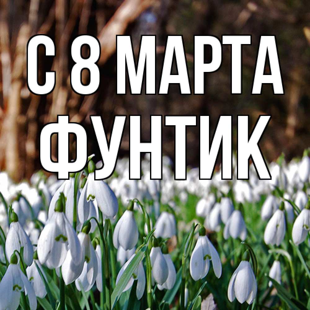 Открытка на каждый день с именем, фунтик C 8 МАРТА с подснежниками 1 Прикольная открытка с пожеланием онлайн скачать бесплатно 