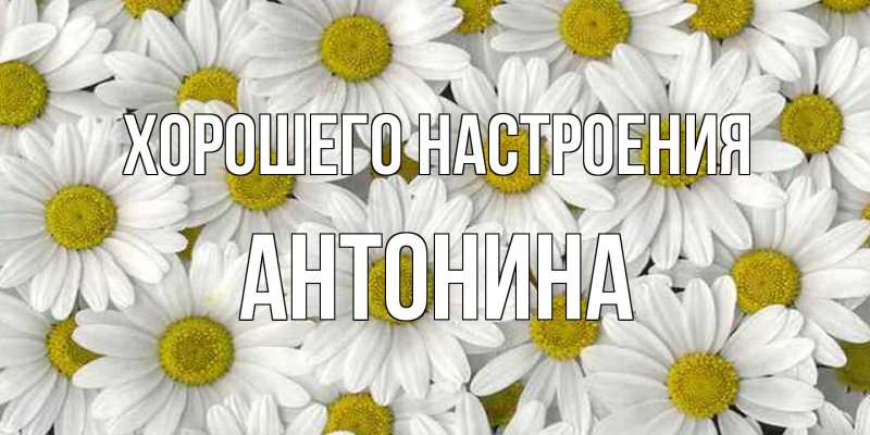 Открытка с именем, Антонина, Хорошего настроения