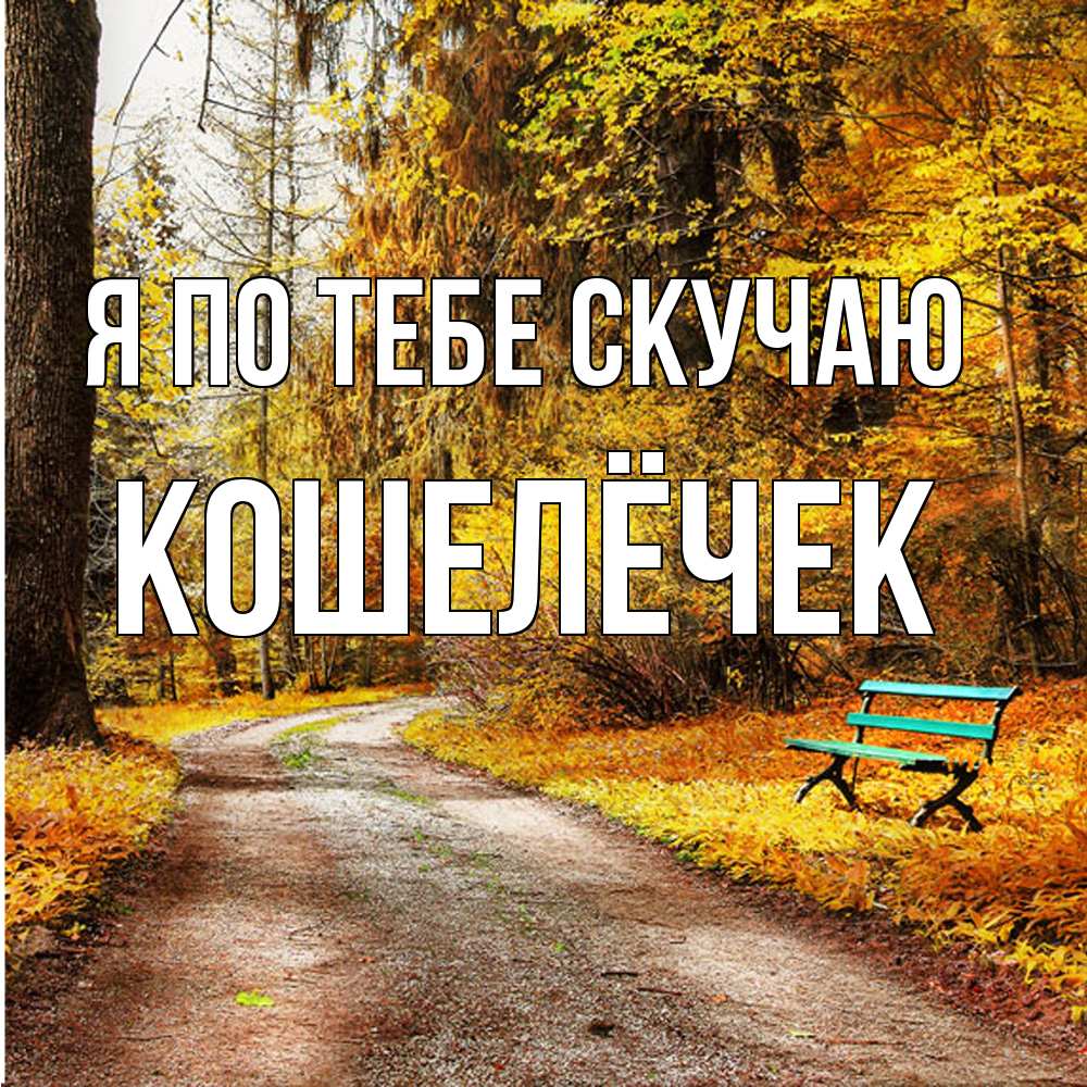 Открытка на каждый день с именем, кошелёчек Я по тебе скучаю зеленая лавочка и осенний лес Прикольная открытка с пожеланием онлайн скачать бесплатно 