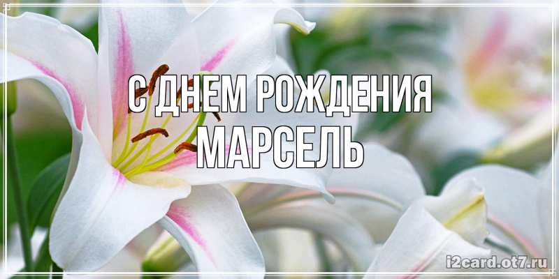 Картинка С днем рождения, Марсель