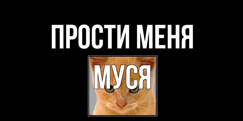 Открытка на каждый день с именем, Муся Прости меня рыжий грустный кот просит прощения Прикольная открытка с пожеланием онлайн скачать бесплатно 