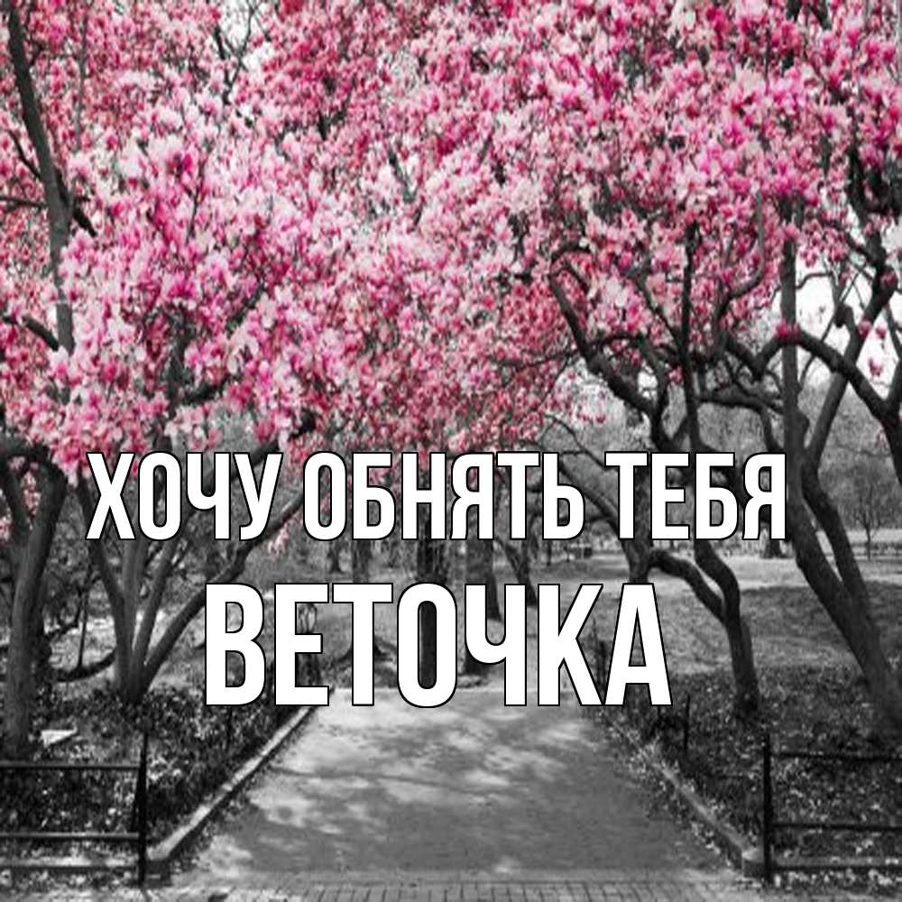 Открытка на каждый день с именем, Веточка Хочу обнять тебя обработанное фото Прикольная открытка с пожеланием онлайн скачать бесплатно 