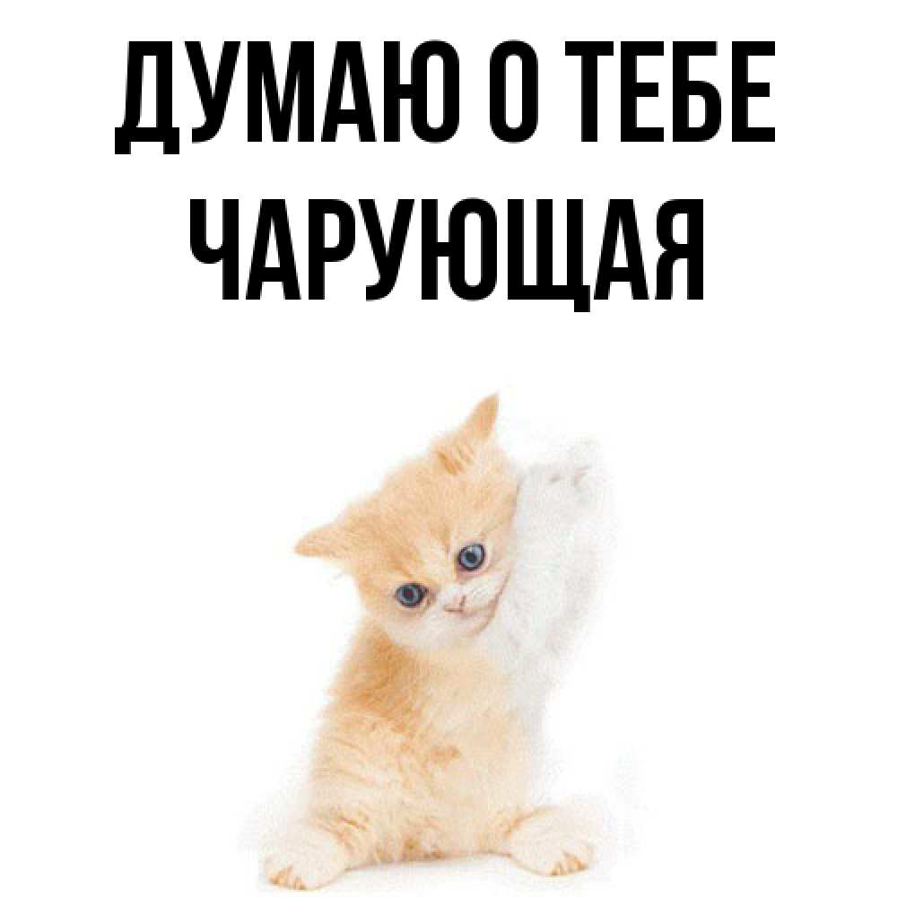 Открытка на каждый день с именем, Чарующая Думаю о тебе зверушки и милота Прикольная открытка с пожеланием онлайн скачать бесплатно 