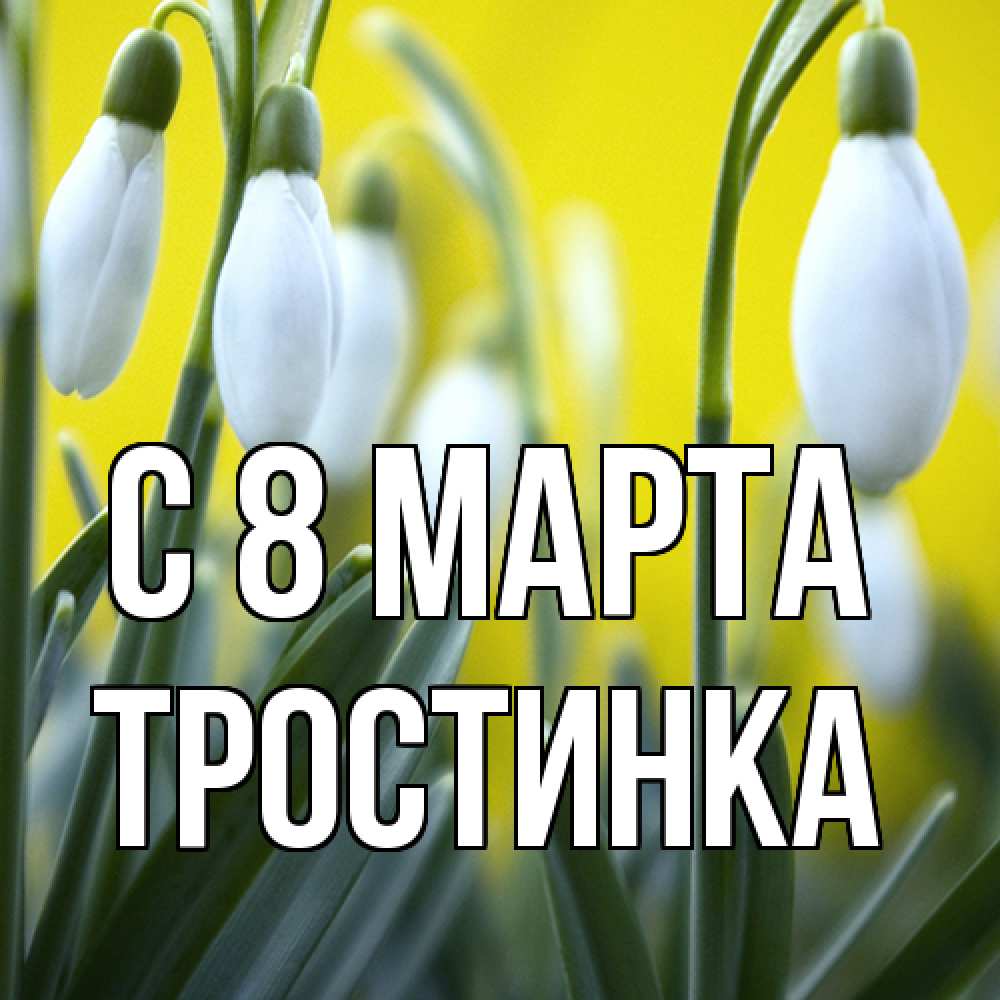 Открытка на каждый день с именем, Тростинка C 8 МАРТА весенние цветы Прикольная открытка с пожеланием онлайн скачать бесплатно 