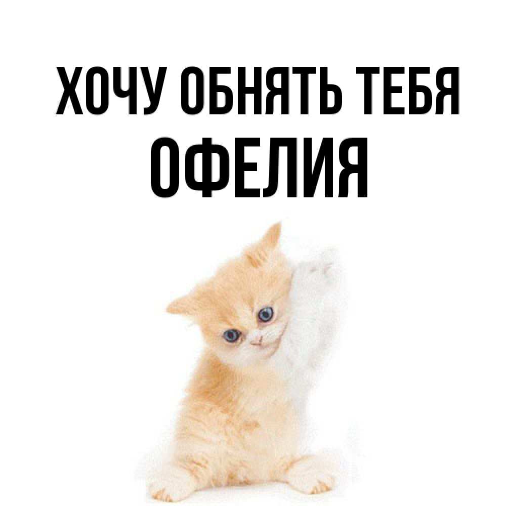 Открытка на каждый день с именем, Офелия Хочу обнять тебя я хочу очень скорее обнимаешек Прикольная открытка с пожеланием онлайн скачать бесплатно 