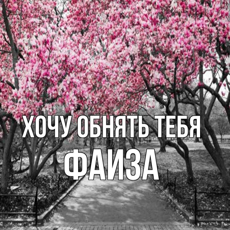 Картинка Хочу обнять тебя, Фаиза
