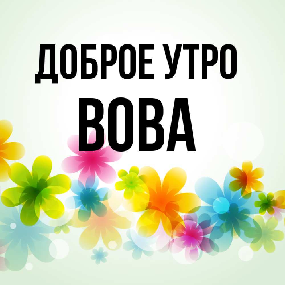 Открытка на каждый день с именем, Вова Доброе утро позитивные цветочки Прикольная открытка с пожеланием онлайн скачать бесплатно 