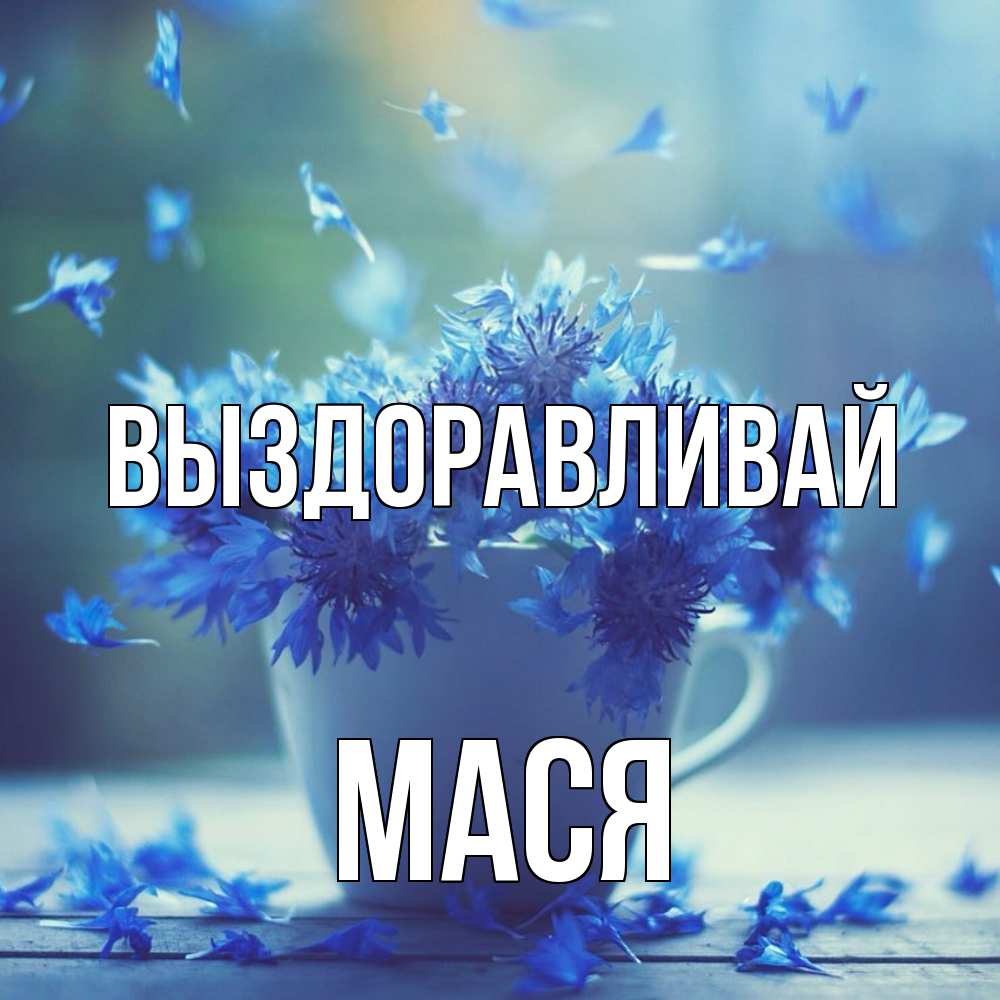Открытка на каждый день с именем, Мася Выздоравливай кружка с зельем и цветами Прикольная открытка с пожеланием онлайн скачать бесплатно 