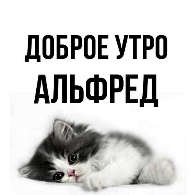 Открытка с именем, Альфред, Доброе утро