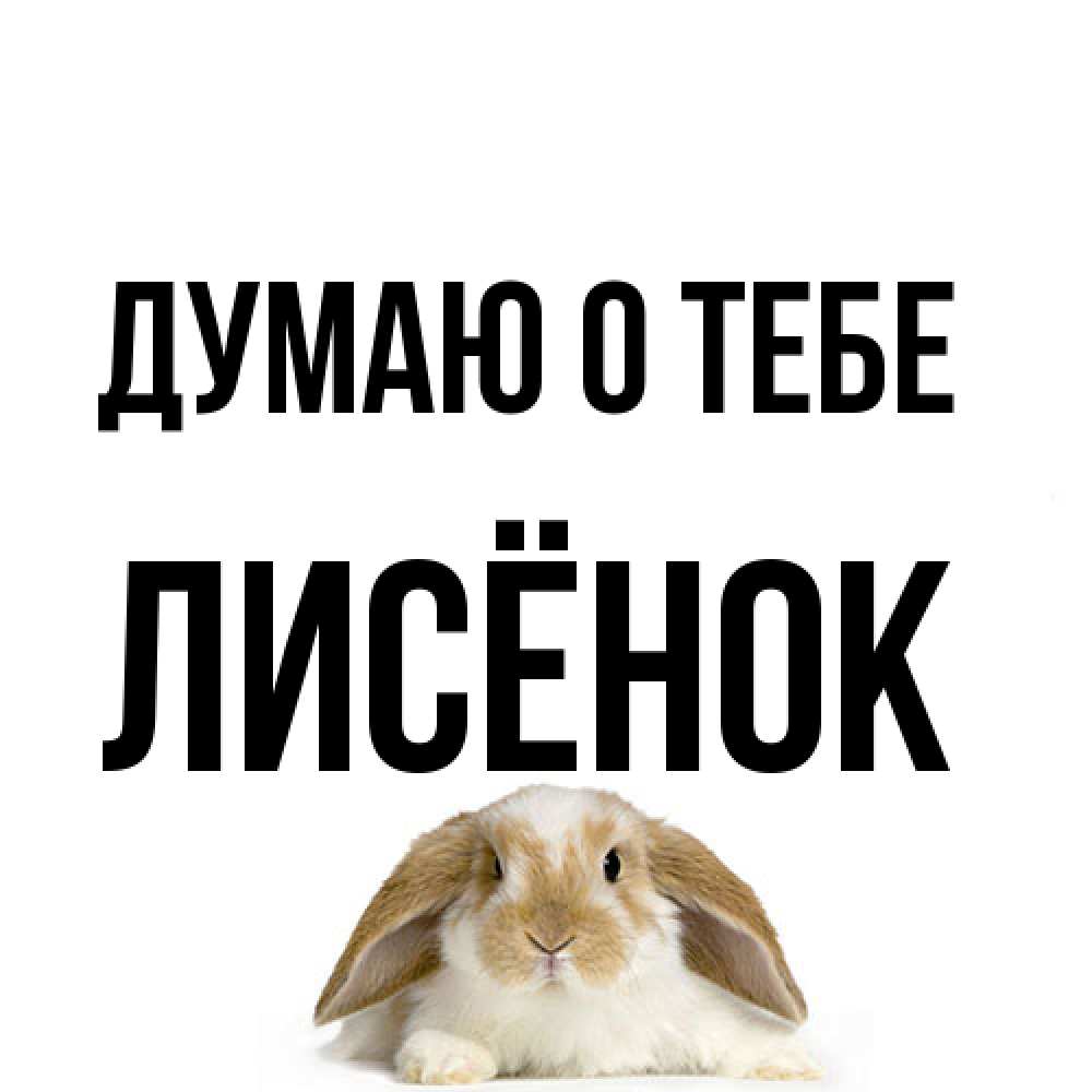 Открытка на каждый день с именем, Лисёнок Думаю о тебе подписать своими руками онлайн Прикольная открытка с пожеланием онлайн скачать бесплатно 