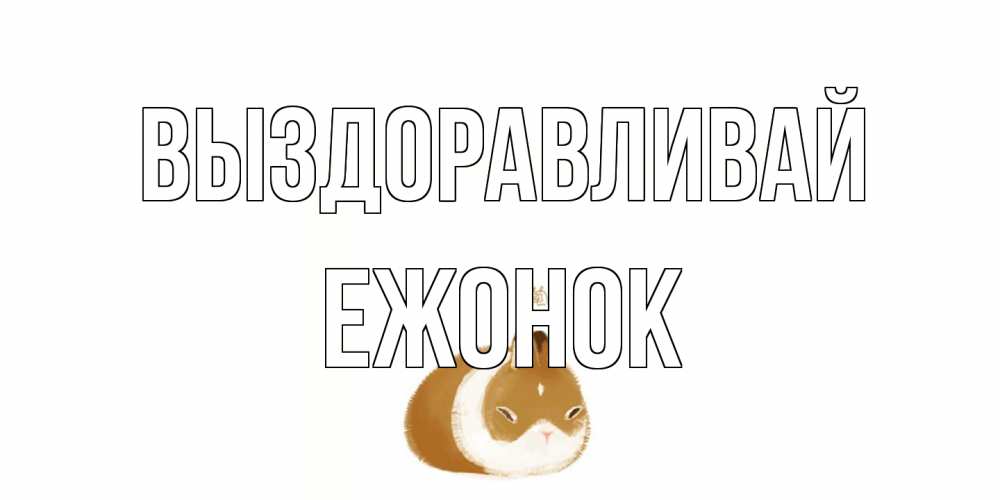 Открытка на каждый день с именем, Ежонок Выздоравливай морская свинка на открытке с пожеланиями не болеть Прикольная открытка с пожеланием онлайн скачать бесплатно 