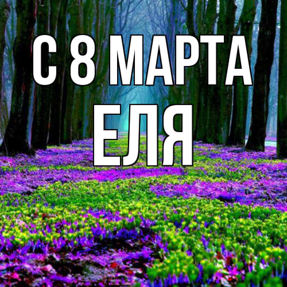 Открытка на каждый день с именем, Еля C 8 МАРТА фиолетовые цветы в лесу 1 Прикольная открытка с пожеланием онлайн скачать бесплатно 