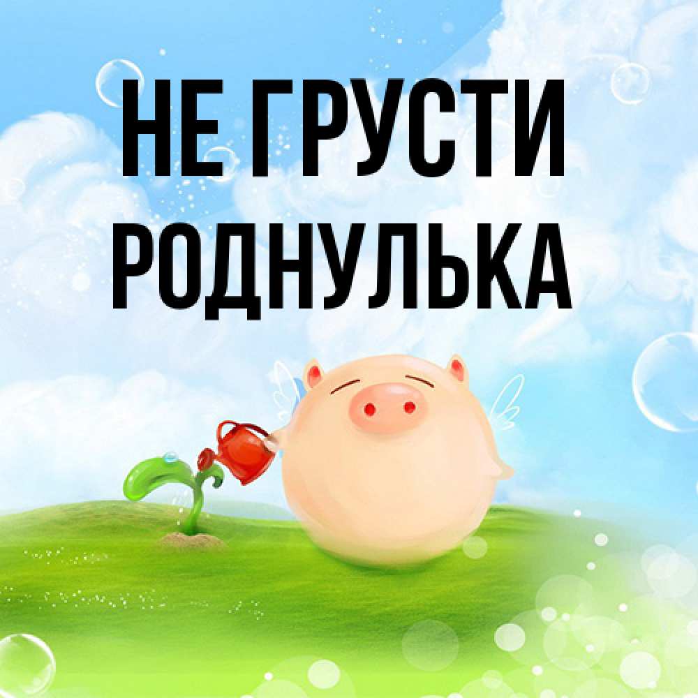 Открытка на каждый день с именем, Роднулька Не грусти поливает цветок порося Прикольная открытка с пожеланием онлайн скачать бесплатно 