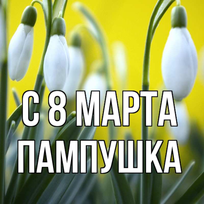 Картинка C 8 МАРТА, Пампушка