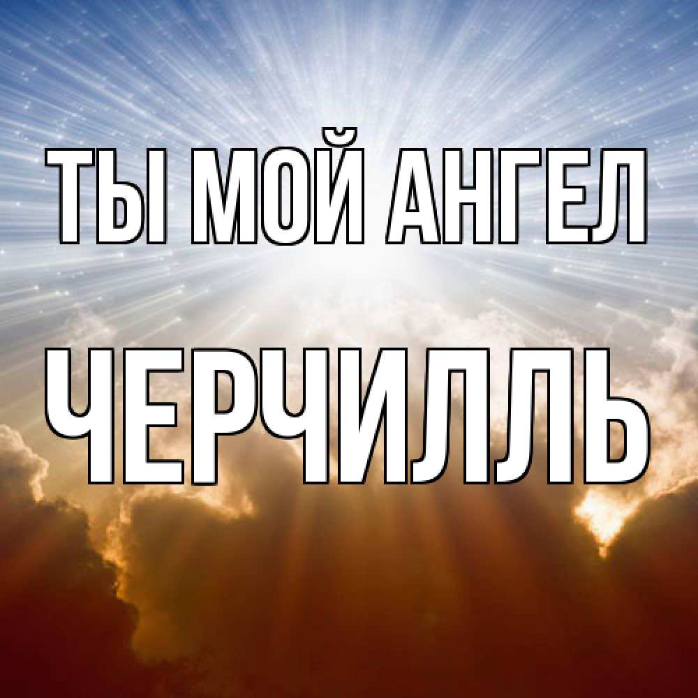 Открытка на каждый день с именем, Черчилль Ты мой ангел ангельский свет на небе Прикольная открытка с пожеланием онлайн скачать бесплатно 