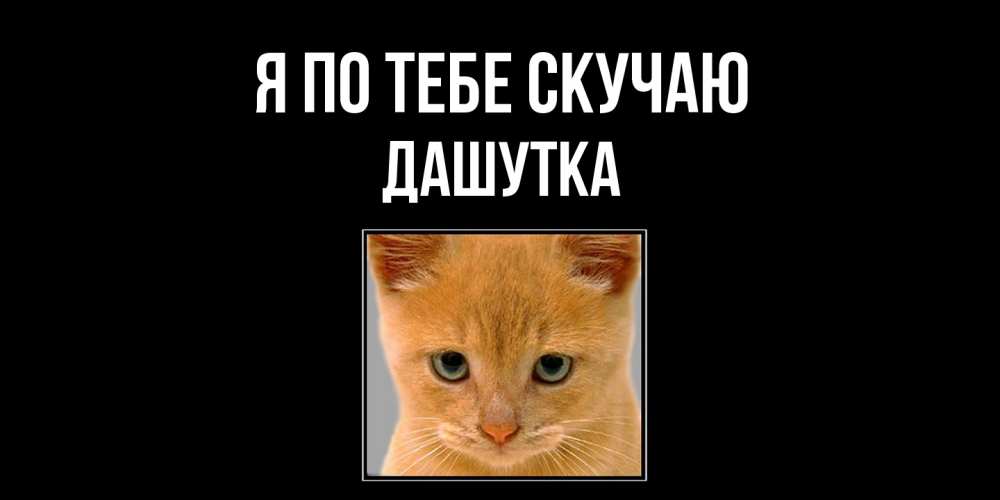 Открытка на каждый день с именем, Дашутка Я по тебе скучаю открытки рыжий котенок скучает по тебе Прикольная открытка с пожеланием онлайн скачать бесплатно 