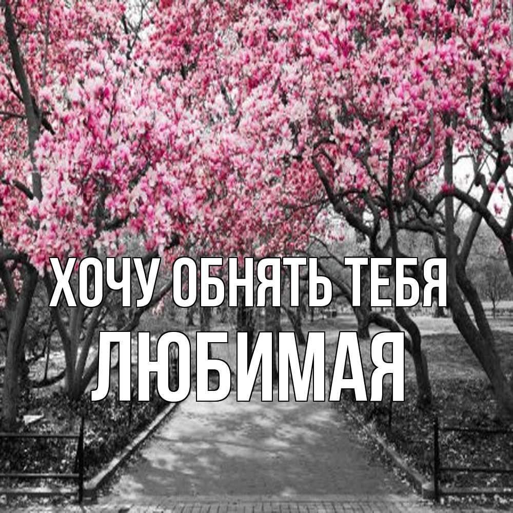 Открытка на каждый день с именем, Любимая Хочу обнять тебя обработанное фото Прикольная открытка с пожеланием онлайн скачать бесплатно 