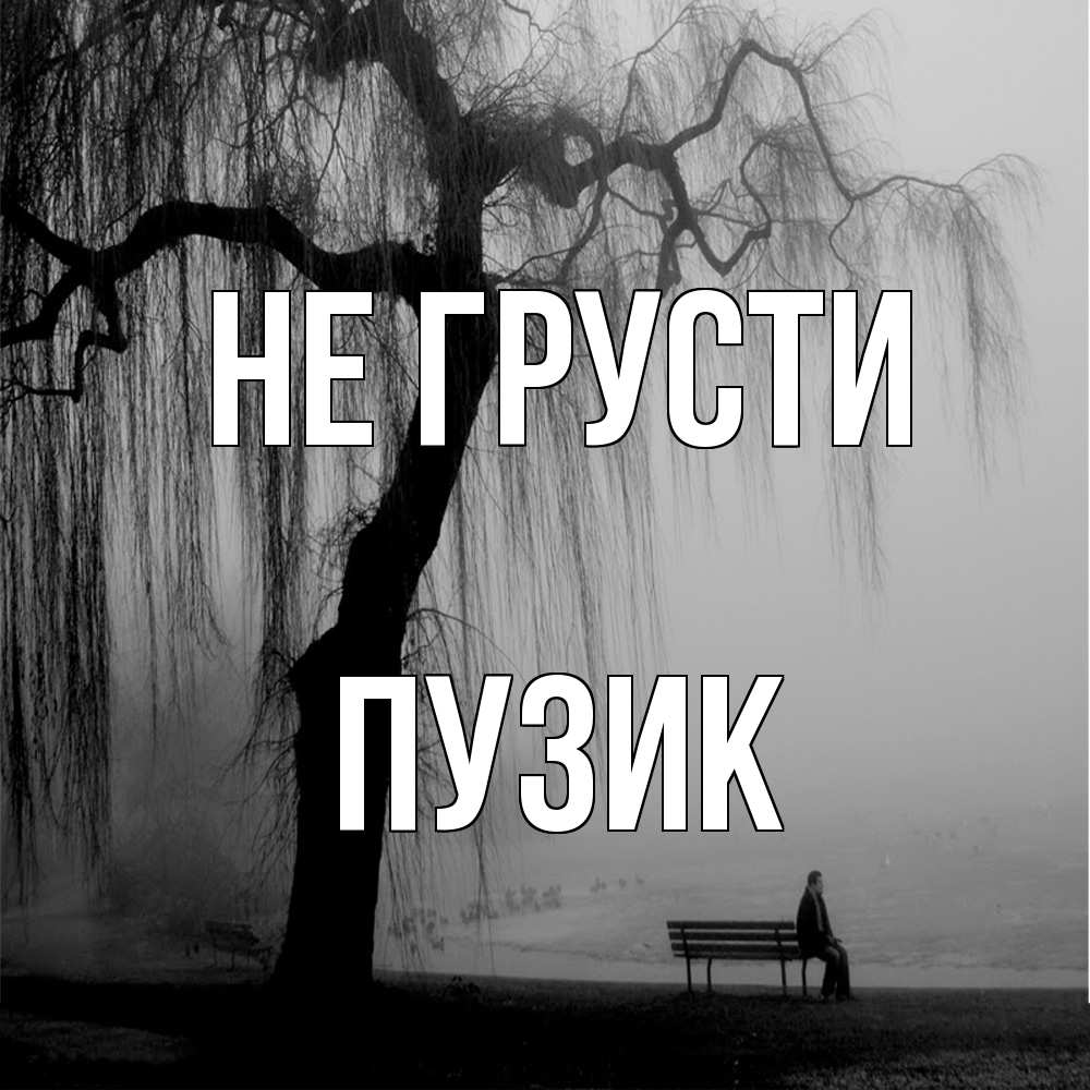 Открытка на каждый день с именем, Пузик Не грусти висящие ветки дерева и лавочка под деревом Прикольная открытка с пожеланием онлайн скачать бесплатно 