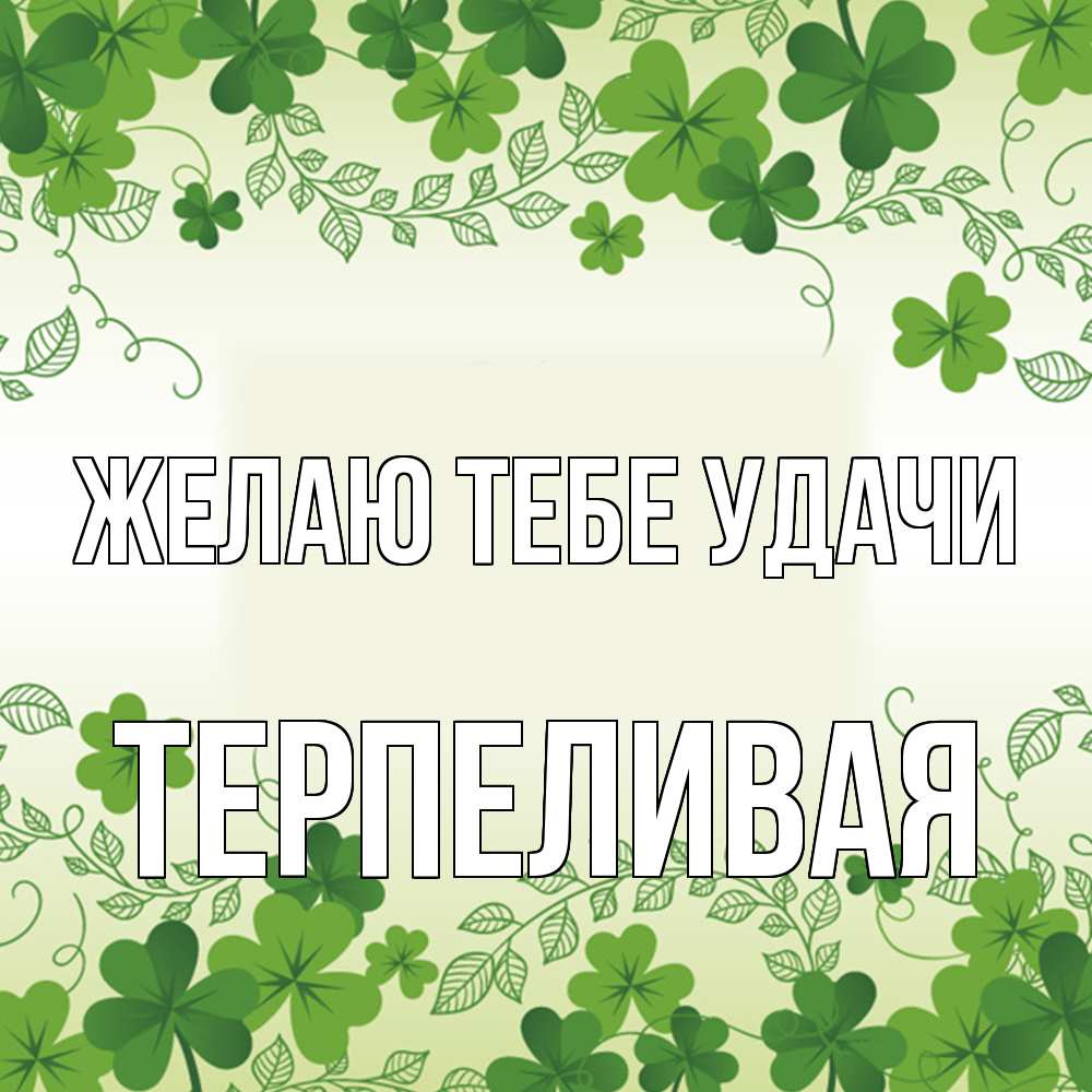 Открытка на каждый день с именем, терпеливая Желаю тебе удачи открытка Прикольная открытка с пожеланием онлайн скачать бесплатно 