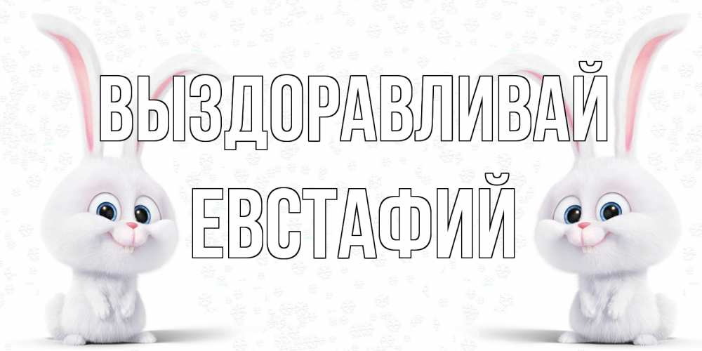 Открытка на каждый день с именем, Евстафий Выздоравливай не болей с зайцем Прикольная открытка с пожеланием онлайн скачать бесплатно 