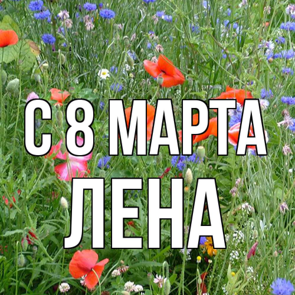 Открытка на каждый день с именем, Лена C 8 МАРТА международный женский день 4 Прикольная открытка с пожеланием онлайн скачать бесплатно 