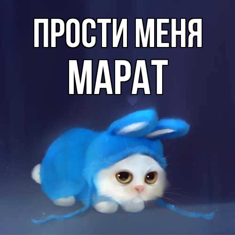 Открытка на каждый день с именем, Марат Прости меня невинный котозай просит прощения Прикольная открытка с пожеланием онлайн скачать бесплатно 