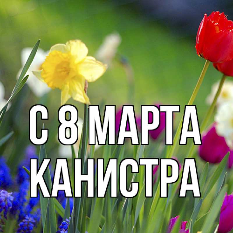 Картинка C 8 МАРТА, Канистра