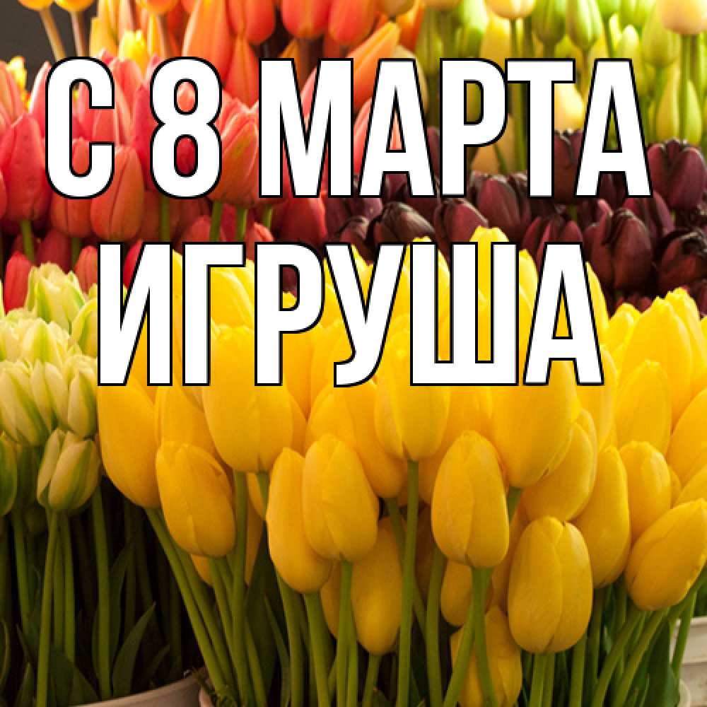 Открытка на каждый день с именем, Игруша C 8 МАРТА цветы Прикольная открытка с пожеланием онлайн скачать бесплатно 