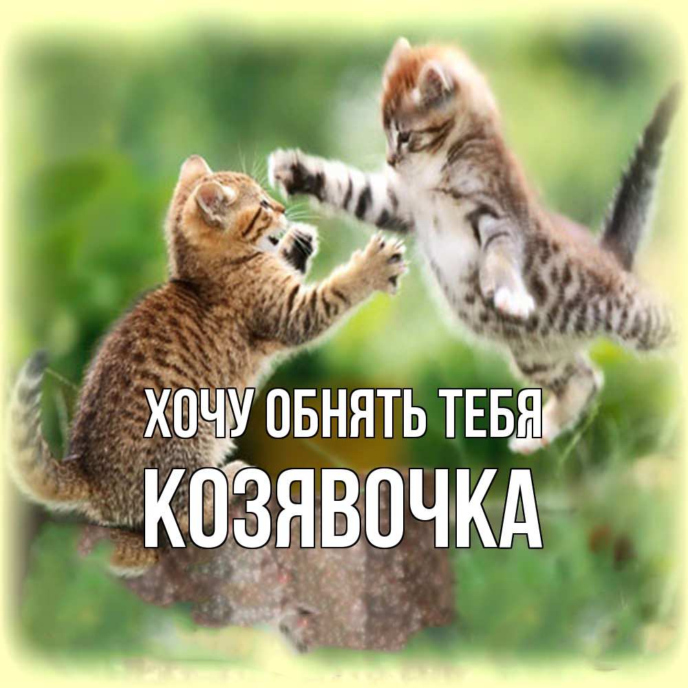 Открытка на каждый день с именем, Козявочка Хочу обнять тебя игры котят Прикольная открытка с пожеланием онлайн скачать бесплатно 