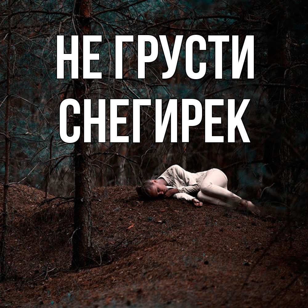 Открытка на каждый день с именем, снегирек Не грусти лес Прикольная открытка с пожеланием онлайн скачать бесплатно 