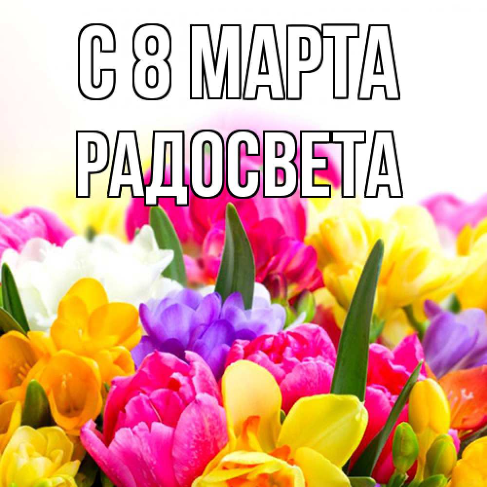 Открытка на каждый день с именем, Радосвета C 8 МАРТА тюльпаны Прикольная открытка с пожеланием онлайн скачать бесплатно 