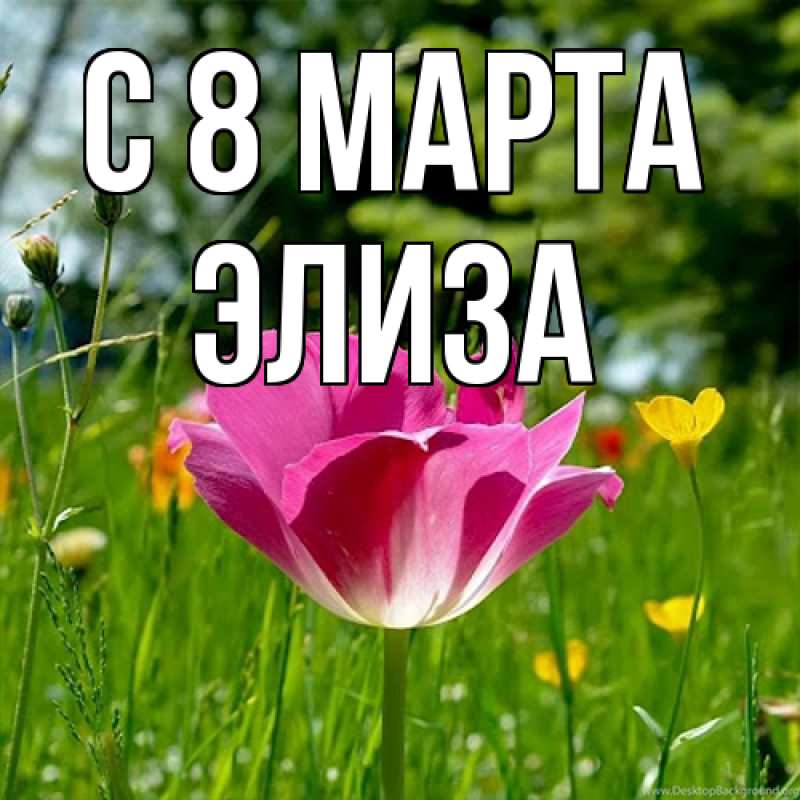 Картинка C 8 МАРТА, Элиза