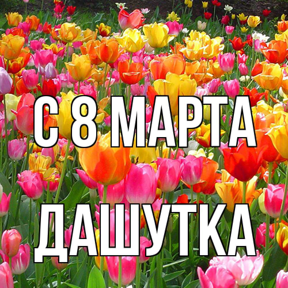 Открытка на каждый день с именем, Дашутка C 8 МАРТА на международный женский день Прикольная открытка с пожеланием онлайн скачать бесплатно 