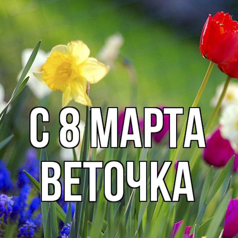 Картинка C 8 МАРТА, Веточка