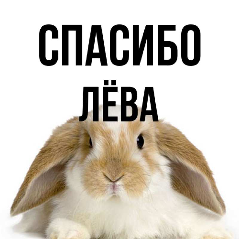 Картинка Спасибо, Лёва
