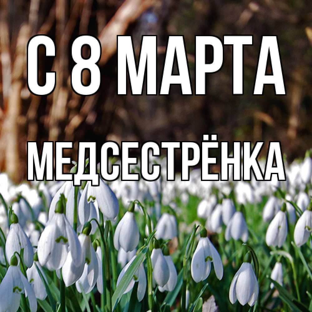 Открытка на каждый день с именем, Медсестрёнка C 8 МАРТА с подснежниками 1 Прикольная открытка с пожеланием онлайн скачать бесплатно 