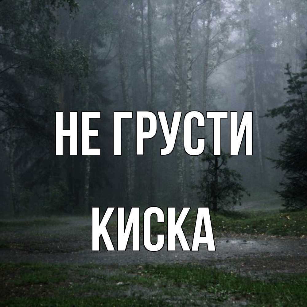 Открытка на каждый день с именем, Киска Не грусти осень Прикольная открытка с пожеланием онлайн скачать бесплатно 
