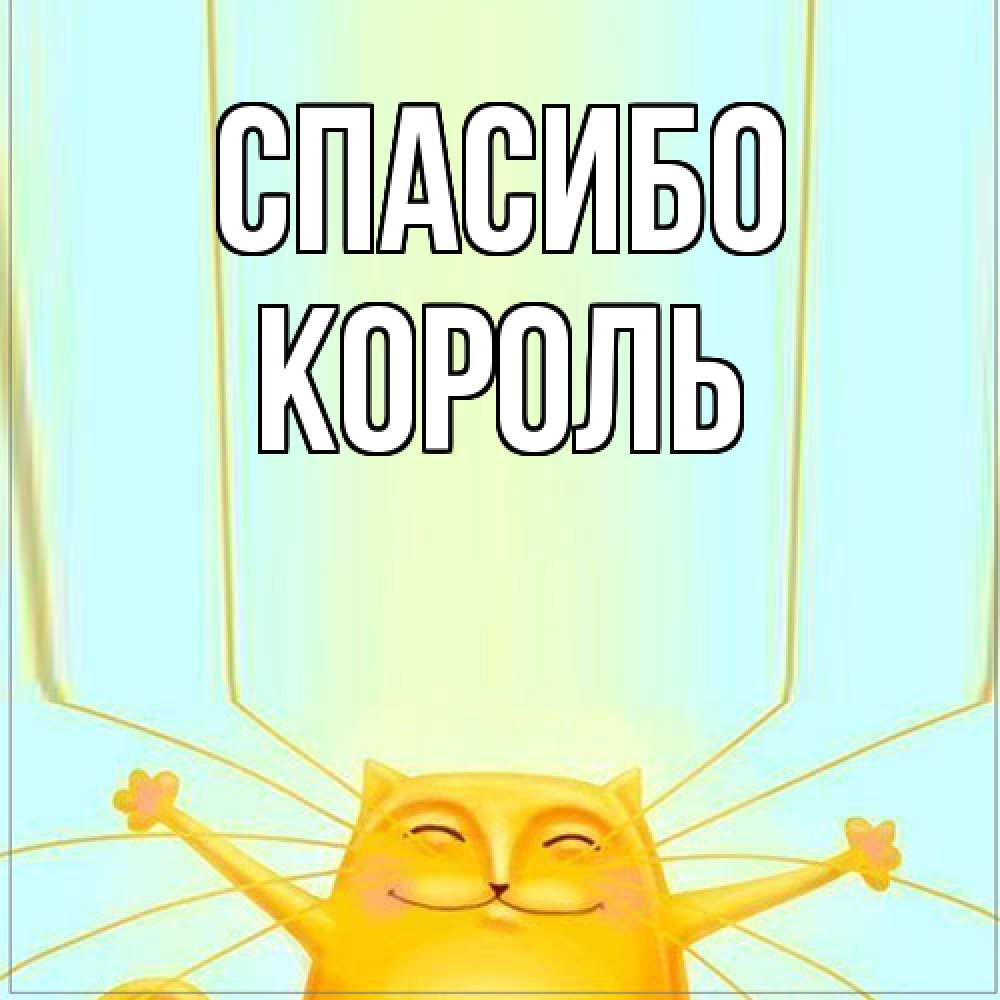 Открытка на каждый день с именем, Король Спасибо кот с усами благодарит Прикольная открытка с пожеланием онлайн скачать бесплатно 