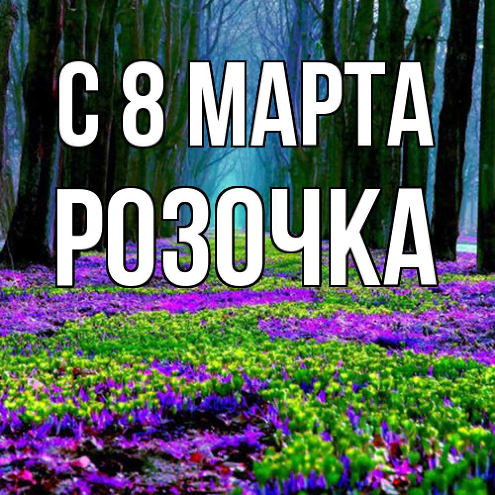 Открытка на каждый день с именем, Розочка C 8 МАРТА фиолетовые цветы в лесу 1 Прикольная открытка с пожеланием онлайн скачать бесплатно 