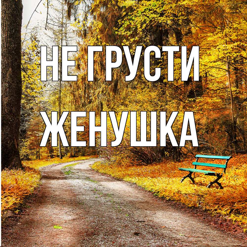 Открытка на каждый день с именем, женушка Не грусти зеленая лавочка Прикольная открытка с пожеланием онлайн скачать бесплатно 