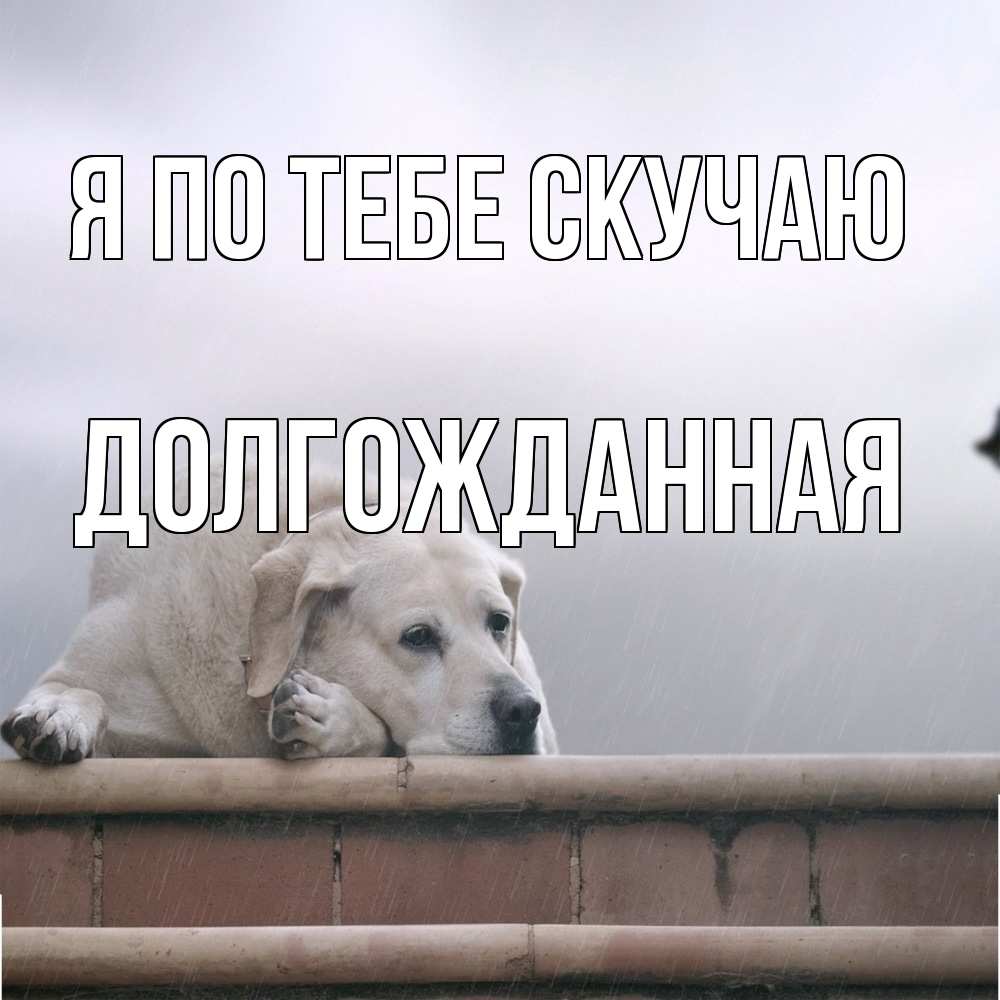 Открытка на каждый день с именем, Долгожданная Я по тебе скучаю ждет Прикольная открытка с пожеланием онлайн скачать бесплатно 