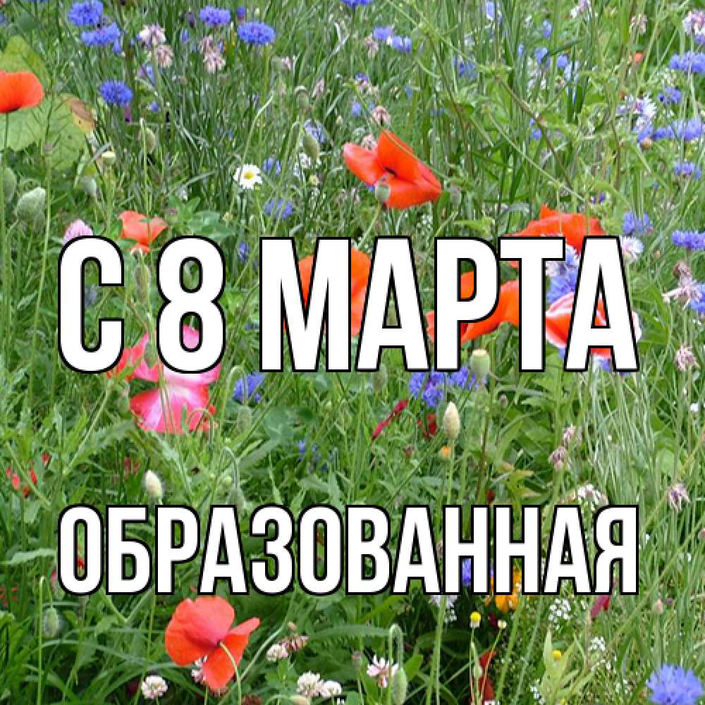 Открытка на каждый день с именем, Образованная C 8 МАРТА международный женский день 4 Прикольная открытка с пожеланием онлайн скачать бесплатно 
