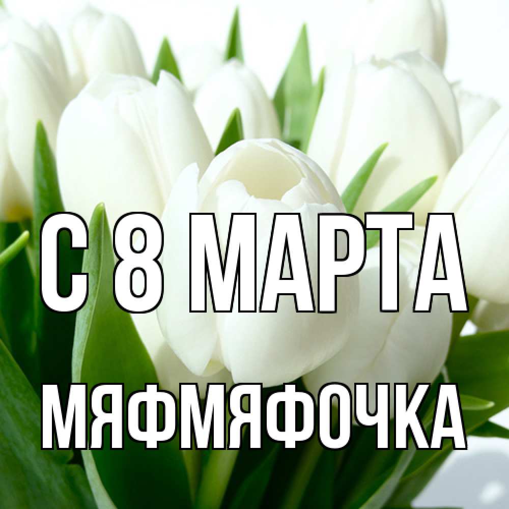 Открытка на каждый день с именем, мяфмяфочка C 8 МАРТА цветы Прикольная открытка с пожеланием онлайн скачать бесплатно 