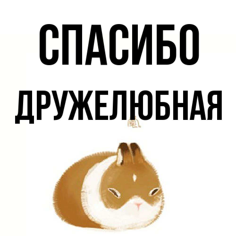 Открытка на каждый день с именем, Дружелюбная Спасибо коричнево белый домашний питомец Прикольная открытка с пожеланием онлайн скачать бесплатно 