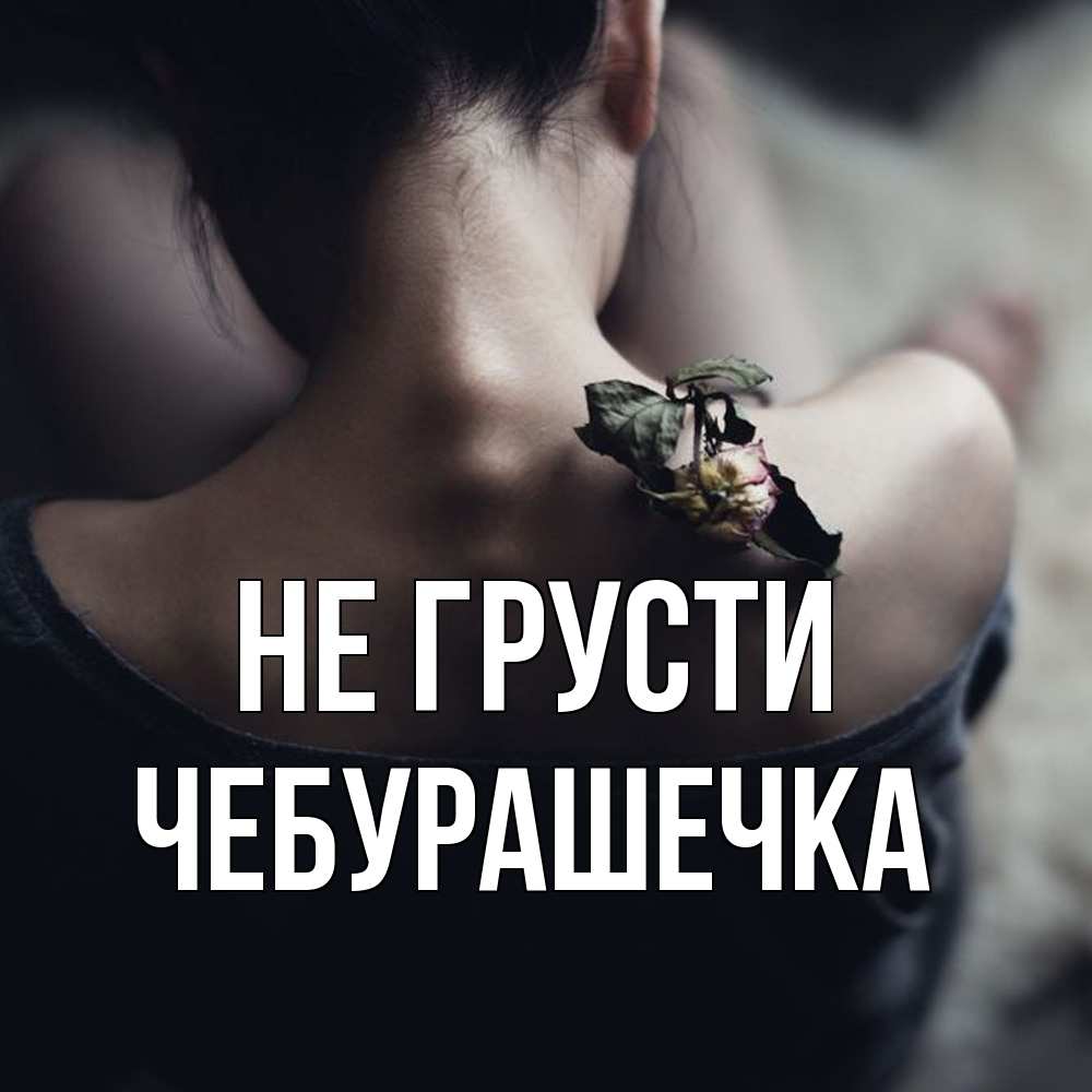 Открытка на каждый день с именем, Чебурашечка Не грусти девушка со спины Прикольная открытка с пожеланием онлайн скачать бесплатно 