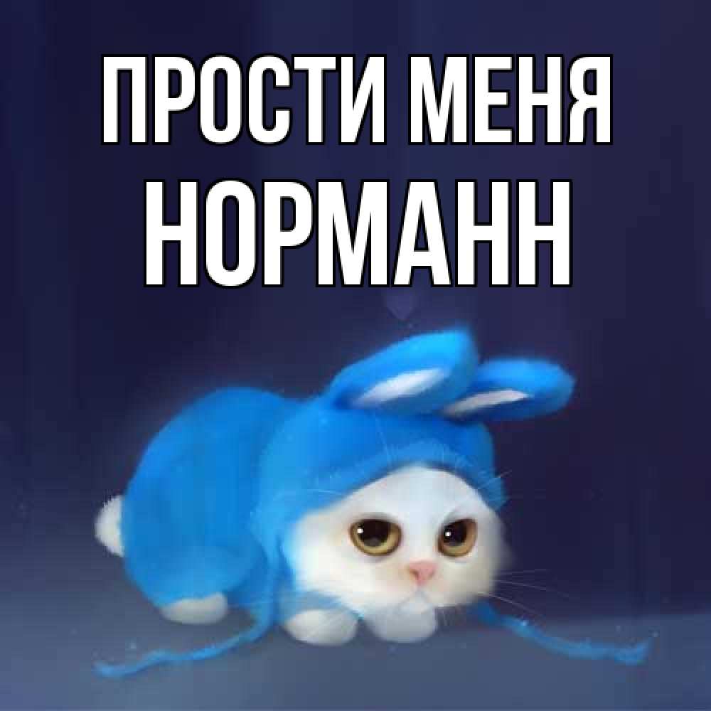 Открытка на каждый день с именем, Норманн Прости меня невинный котозай просит прощения Прикольная открытка с пожеланием онлайн скачать бесплатно 