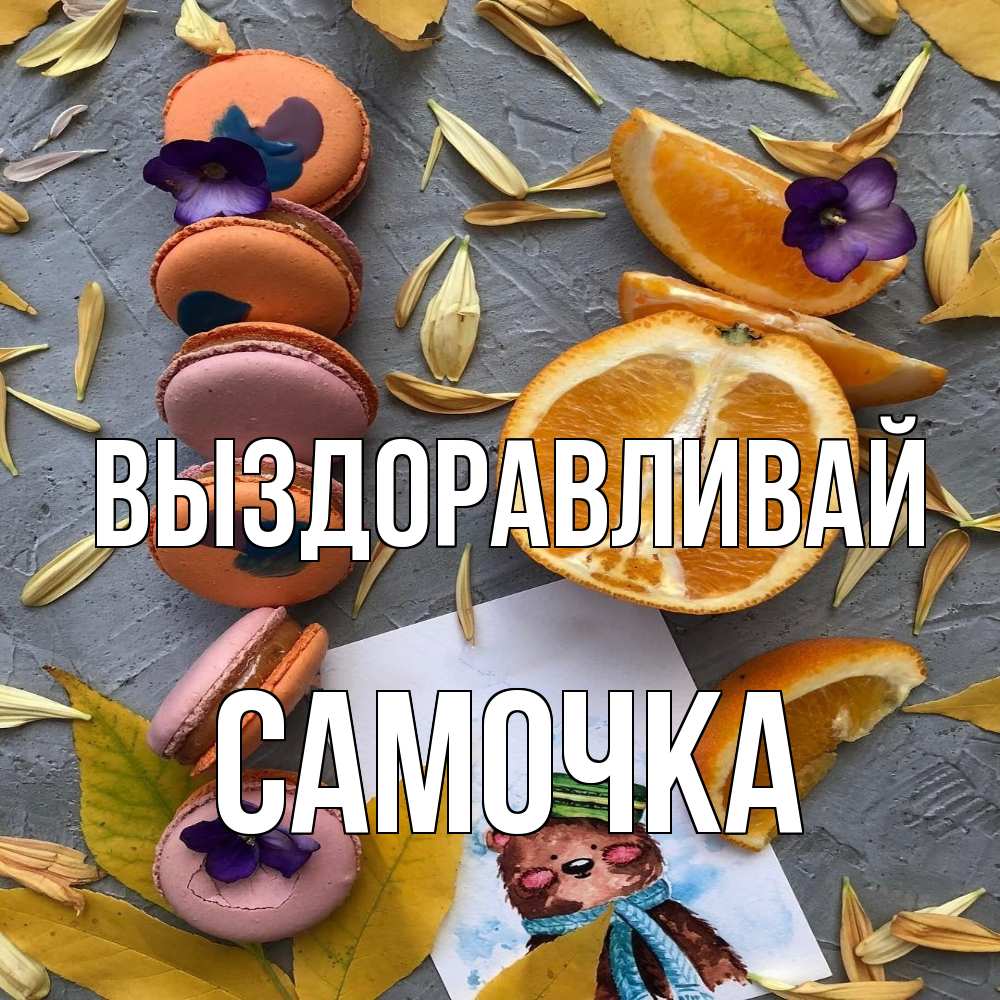 Открытка на каждый день с именем, Самочка Выздоравливай не болейте Прикольная открытка с пожеланием онлайн скачать бесплатно 