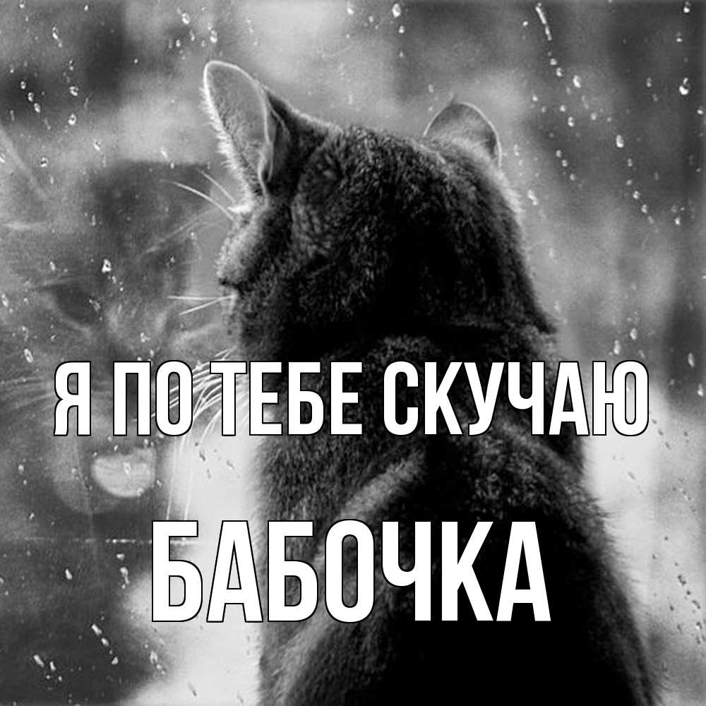 Открытка на каждый день с именем, Бабочка Я по тебе скучаю скорее ко мне приходи 1 Прикольная открытка с пожеланием онлайн скачать бесплатно 