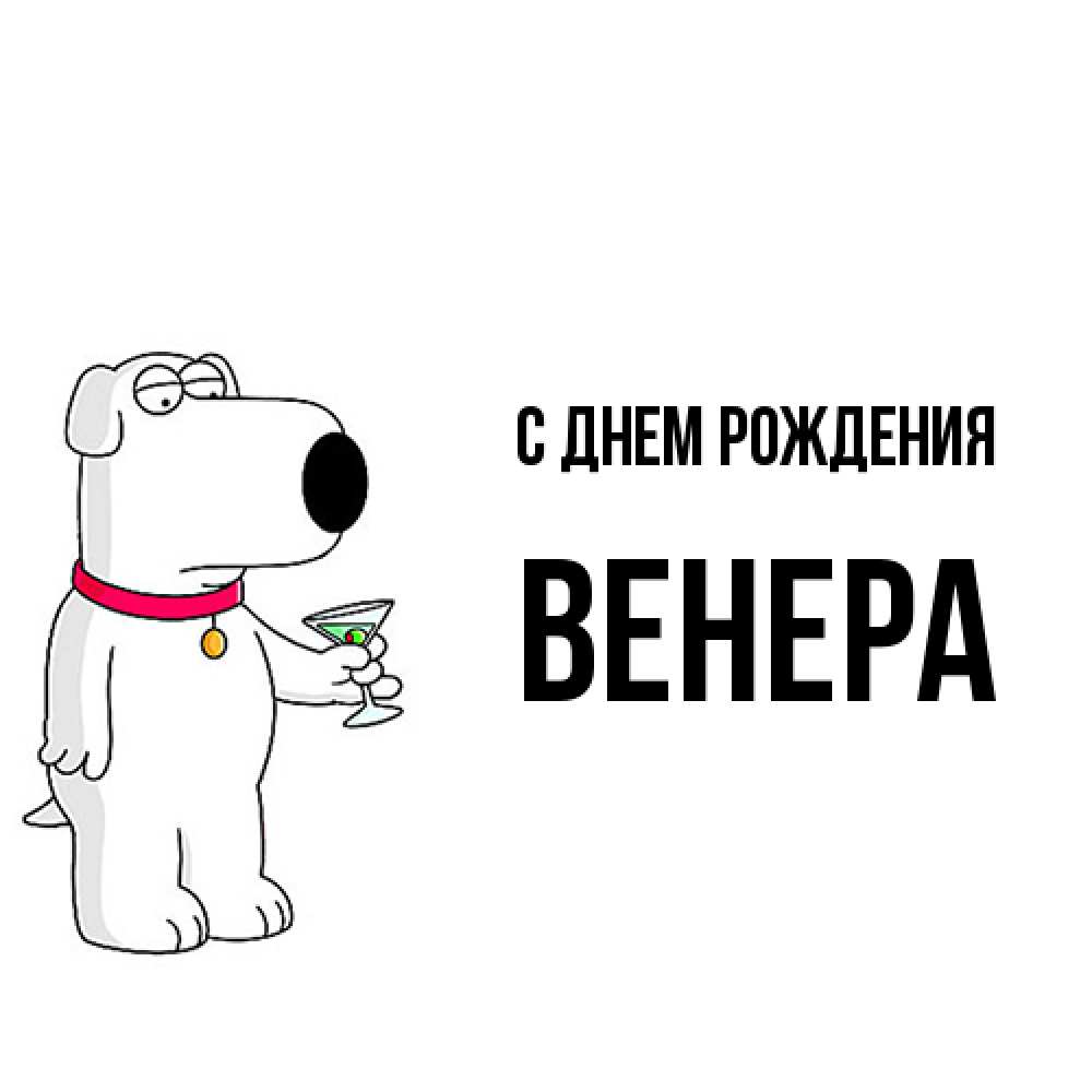 Открытка на каждый день с именем, Венера С днем рождения песик с оливками Прикольная открытка с пожеланием онлайн скачать бесплатно 